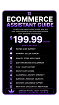 Ecommerce Assistance Guide