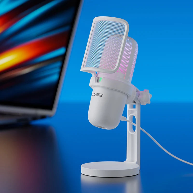 Gaming Desktop Microphone Studio Music Recording Microphone for Sale Podcast Microphones