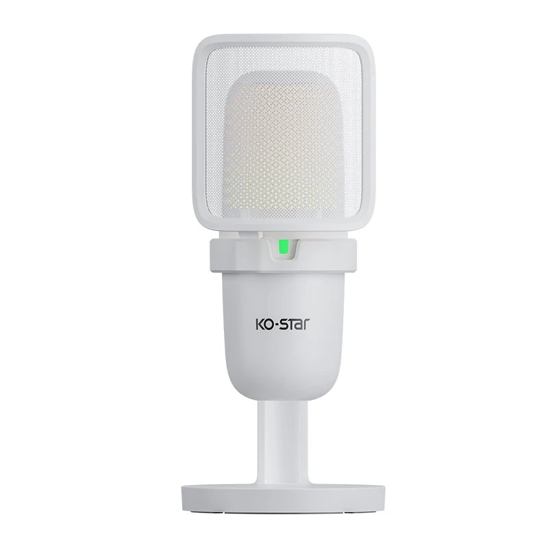 Gaming Desktop Microphone Studio Music Recording Microphone for Sale Podcast Microphones