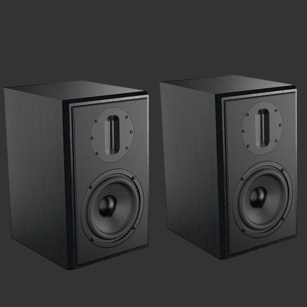 5.25 Inch 200W Passive High-power Speaker HIFI Speaker Two-way Speaker  Fever Bookshelf Audio Home Theater TV Front Audio